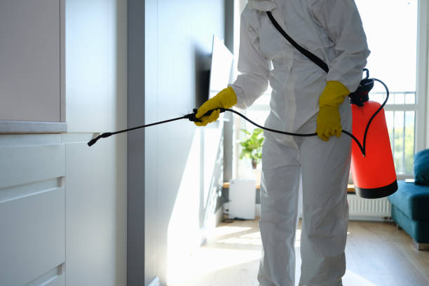 Professional Mold Removal in Nowthen, MN